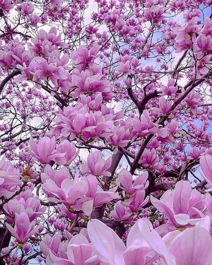 RippleGroveFolio workshop space where corporate flower arrangements are designed and prepared for business delivery